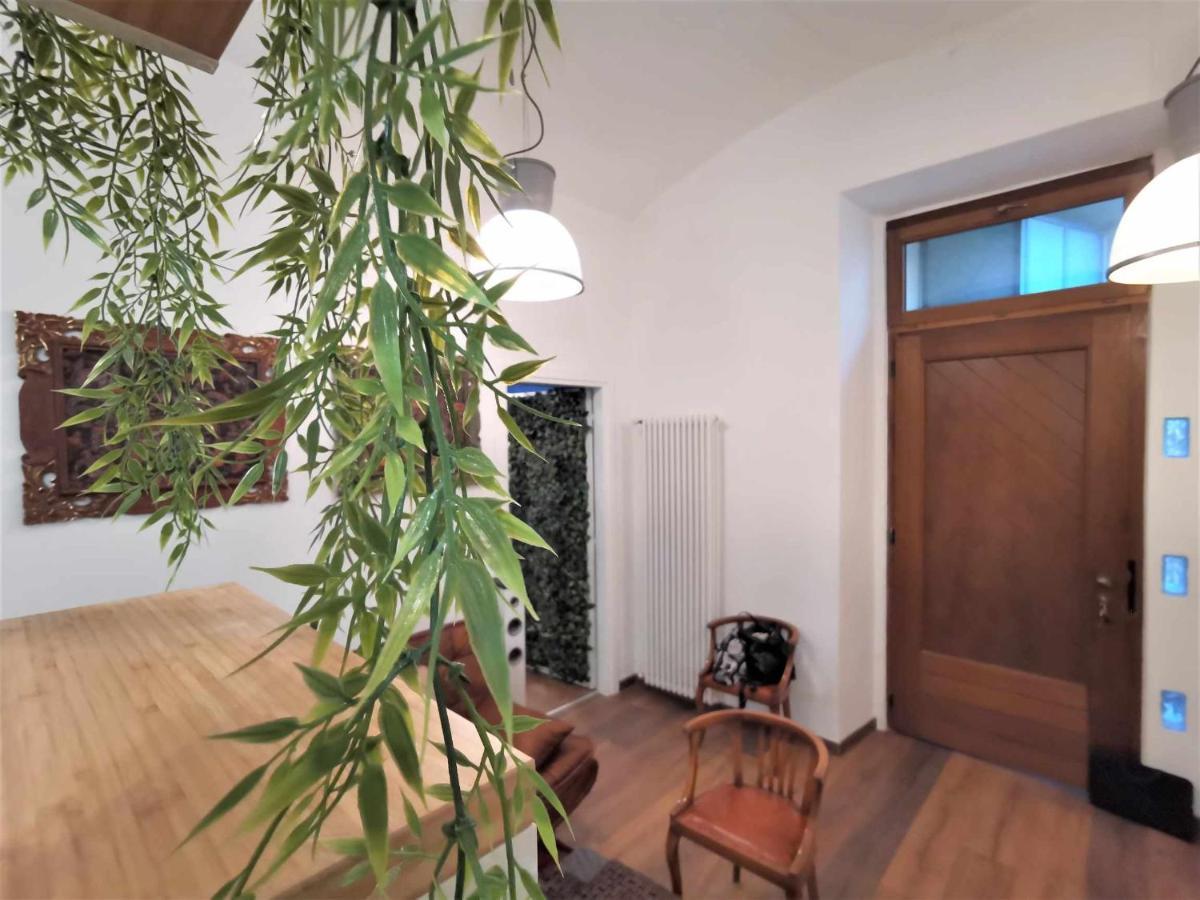 Jungle Fever Appartement